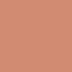 RAL-3012-beige-red.jpg